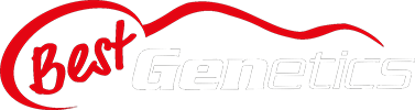 Bestgenetics Logo